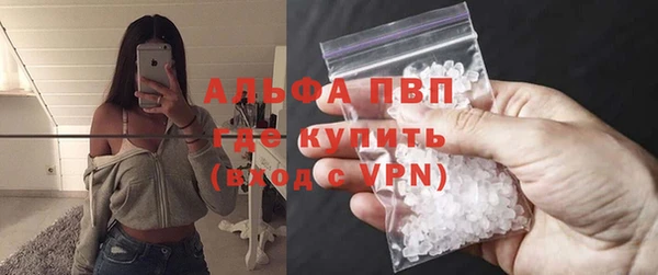 индика Галич