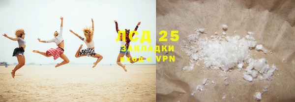 прущие грибы Гатчина