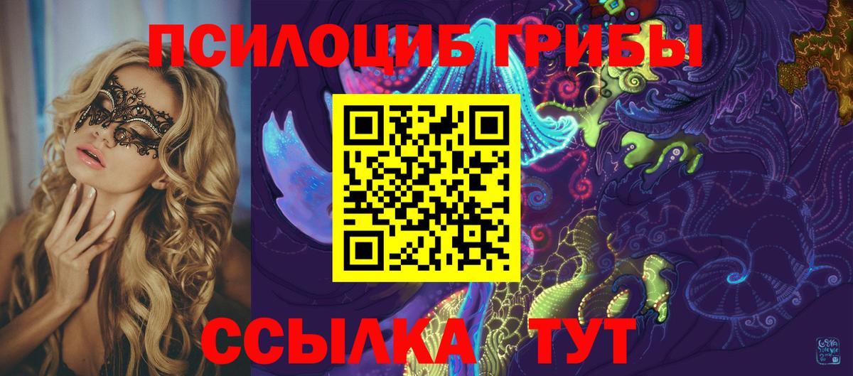 Галлюциногенные грибы мицелий  Вход с VPN  Псилоцибиновые грибы мицелий  Мытищи 