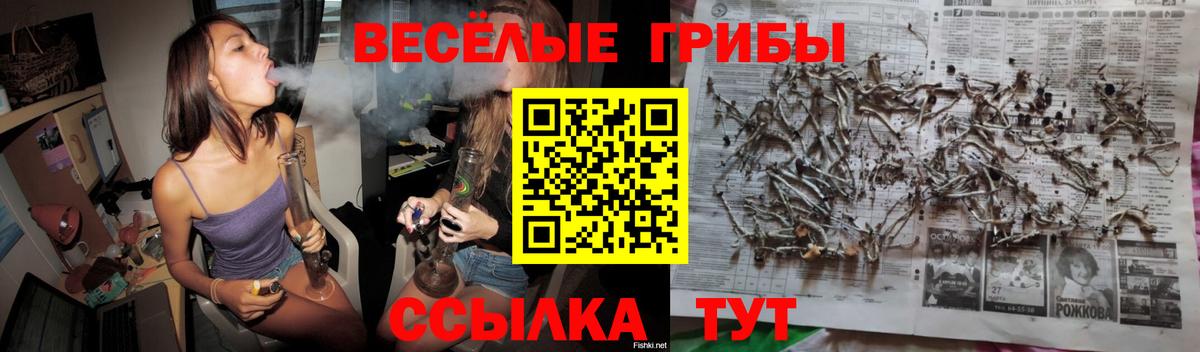 Псилоцибиновые грибы GOLDEN TEACHER Мытищи