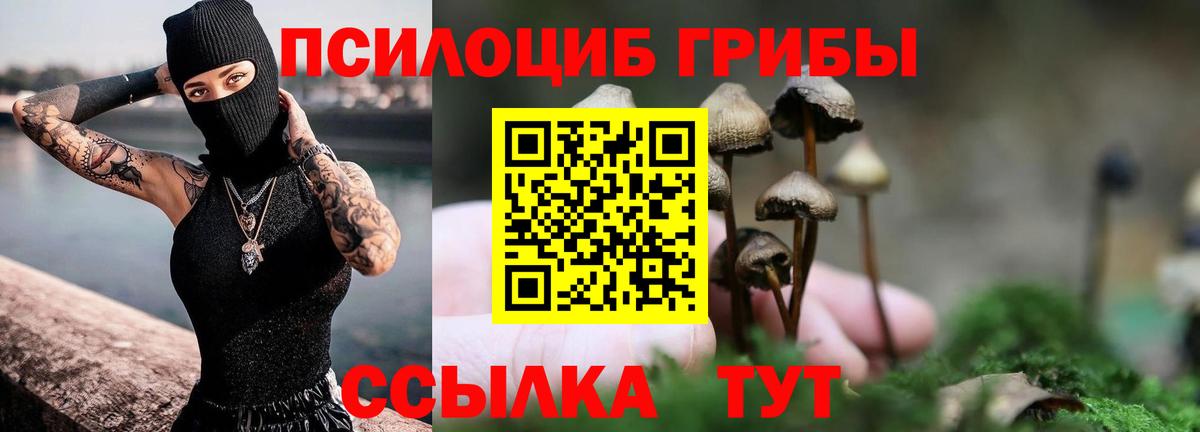 Галлюциногенные грибы Magic Shrooms  Мытищи 