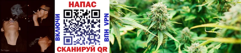 сайты даркнета телеграм  Мытищи  Марихуана Ganja  купить наркоту 